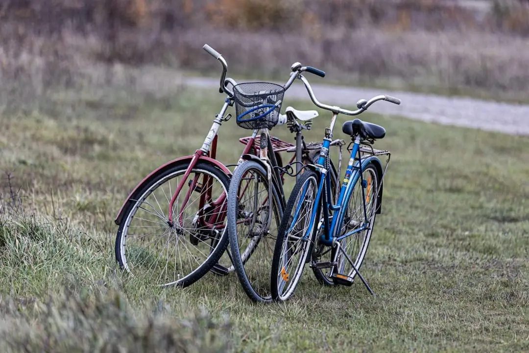 Monark damcykel ger dig stil och frihet illustration