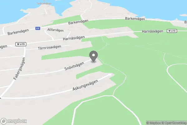 Olstam Cykel - Ludvika karta