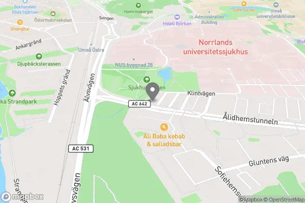 Umeås cykeljunta - Umeå