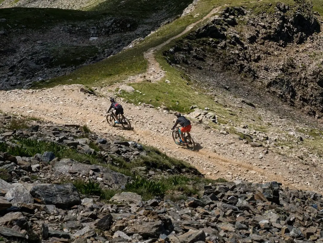 Vilken mountainbike ska jag välja? illustration